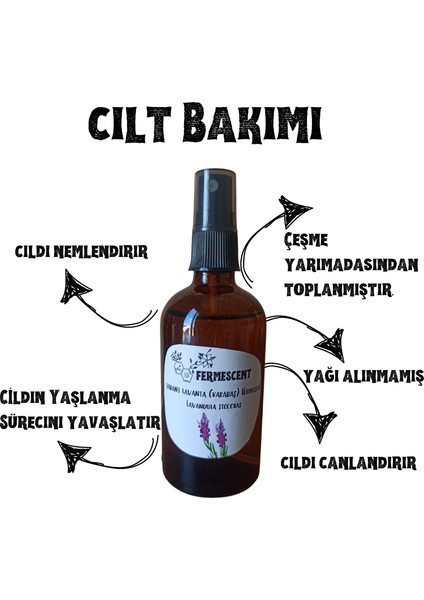 Yabani Lavanta Karabaş Hidrosolü Suyu - Anti Aging Yaşlanma Karşıtı Cilt Nemlendirici