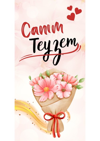Canım Teyzem Seti, Teyzeye Seti, Teyze Yeğen