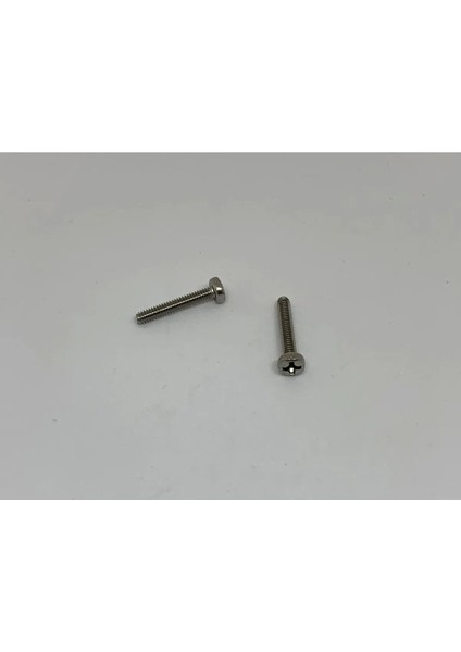 M2X6 Ysb Minik Mikro Vida A2 Inox (10 Adet)