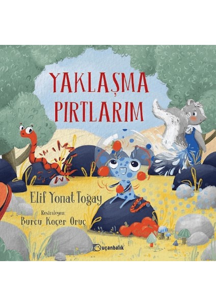 Yaklaşma Pırtlarım - Elif Yonat Toğay