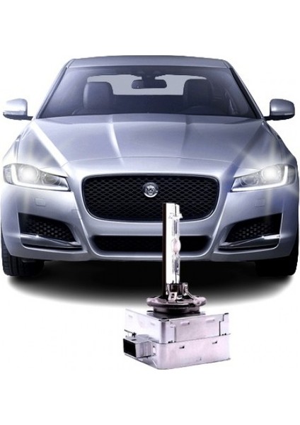 Jaguar Xf (2015-2019) D3S Xenon Oto Ampul 4300K