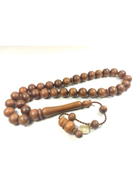 Hakan Kaya Usta Eseri Imzalı Şili Alokarya Ağacı Sertifikalı 4882 fiyatları