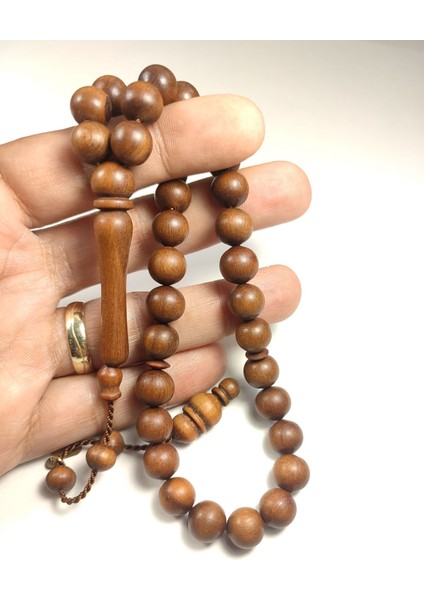 Hakan Kaya Usta Eseri Imzalı Şili Alokarya Ağacı Sertifikalı 4882 fırsatları