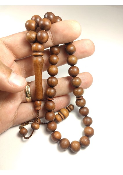 Hakan Kaya Usta Eseri Imzalı Şili Alokarya Ağacı Sertifikalı 4882 indirimleri