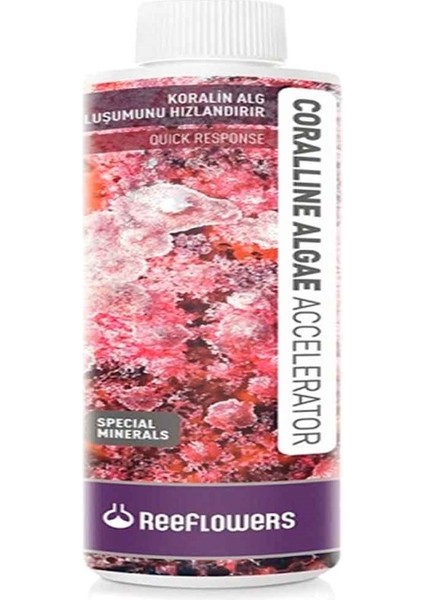 Coralline Algae 250 Ml