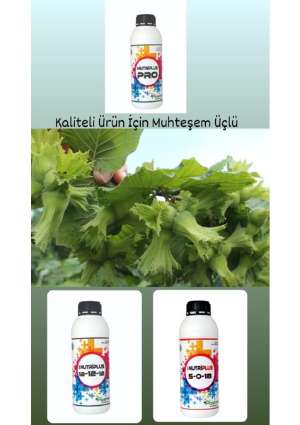 Npnutriplus 12-12-12 Dengeli Gübre