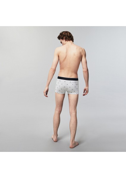 Core Erkek Baskılı 3'lü Gri Boxer 5H3411 Vdp fiyatları