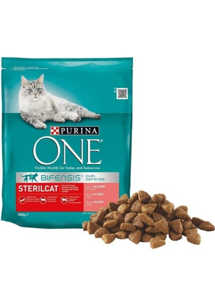 Purina One One Somonlu Kısırlaştırılmış Kuru Kedi Maması 800 gr