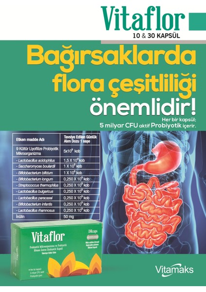 Vitaflor 30 Kapsül Probiyotik