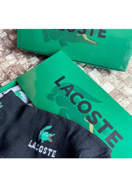 6'lı Çorap Lacoste