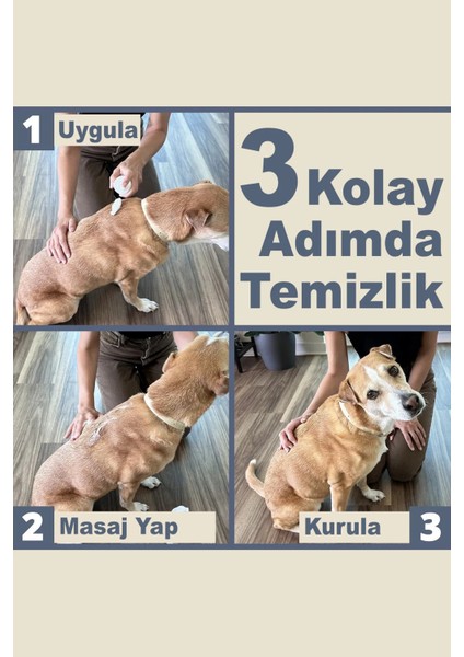 Köpek Kuru Şampuan, Bit Pire Dış Parazit Kene Damla Önleyici Tasması Tarağı ile Kullanılabilir