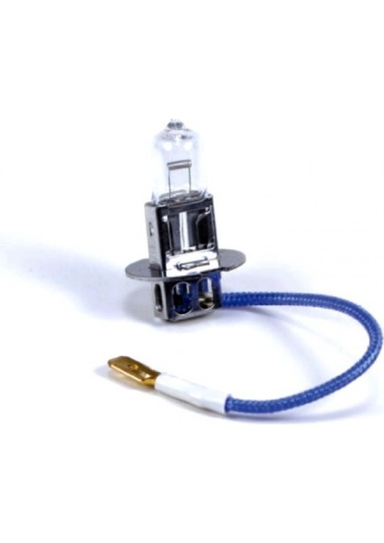 H3 Standart Halojen Oto Ampul 12V 55W