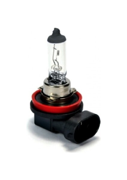 H16 Standart Halojen Oto Ampul 12V 19W