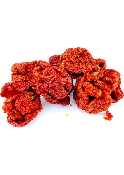 Moruga Akrebi Biber Kurutulmuş Biberin Kendisini Gönderiyoruz +1 Adet ( Trinidad Moruga Scorpion )