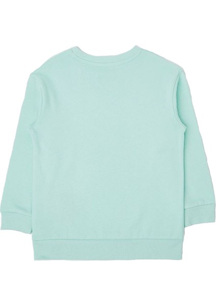 Care Bears Kız Çocuk Sweatshirt fiyatları