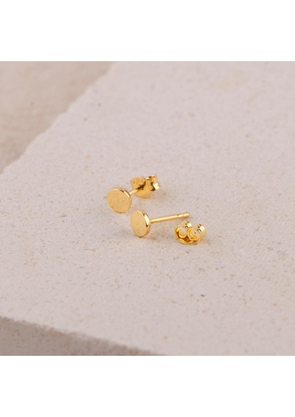 14 Ayar Altın Minik Yuvarlak Küpe 0,62 gr fiyatları