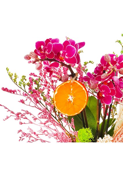 Bahar Dalı Mini Phalaenopsis Orkide & Cam Vazoda Zarif Ev Ofis Salon Bitkisi Canlı