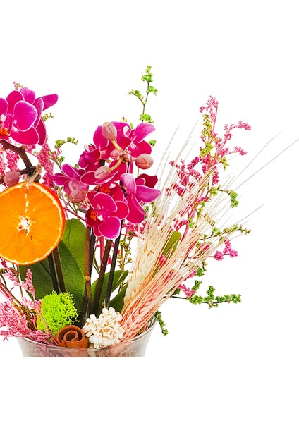 Bahar Dalı Mini Phalaenopsis Orkide & Cam Vazoda Zarif Ev Ofis Salon Bitkisi Canlı