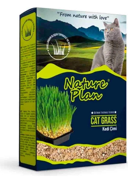 Nature Plan Kedi Çimi