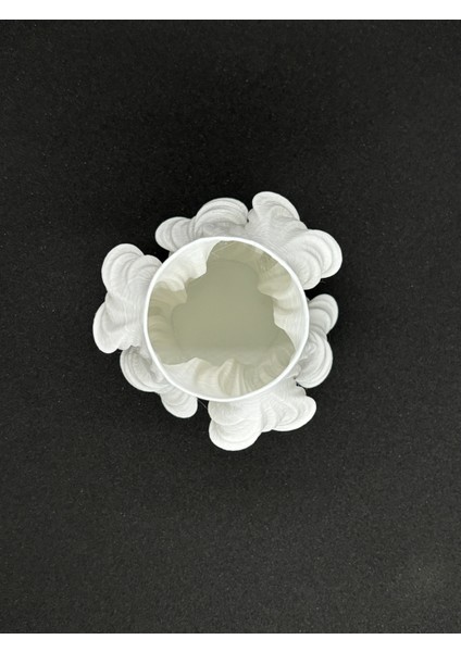 Bulut Saksı