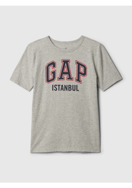 Erkek Çocuk Gri Istanbul Logo T-Shirt