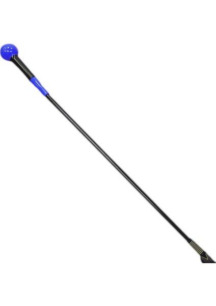Golf Swing Trainer - Golf Blue Için Tempo ve Esneklik Çubuğu (Yurt Dışından) fiyatları