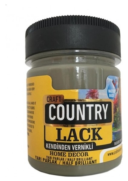 Country Kendinden Vernikli Lack Hobi Boyası 4048 Kayrak Grı 120CC