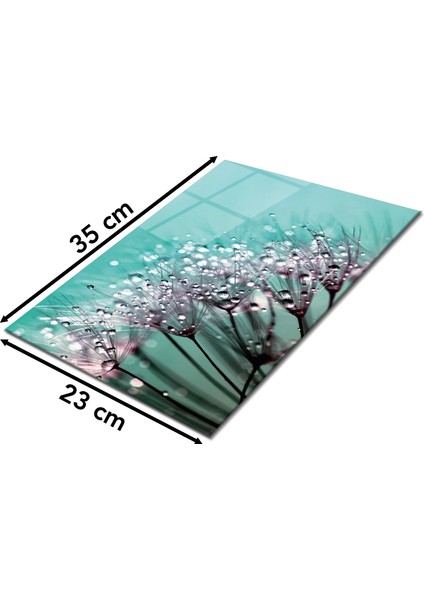 Karahindiba Cam Kesme Tahtası, Silikon Ayaklı, Sunum Kesim Doğrama Tablası, Temperli ve Rodajlı fiyatları