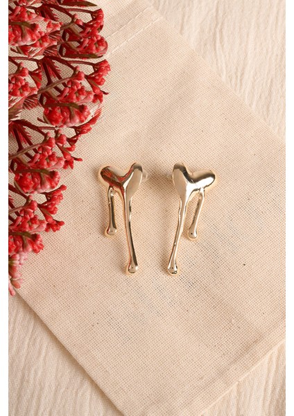 Kadın Kalp Model Bijuteri Küpe modelleri