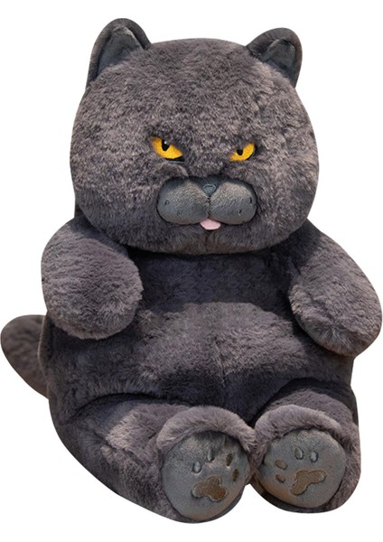 British Shorthair Ş 30CM Doldurulmuş Kız Çocuk Mavi (Yurt Dışından)
