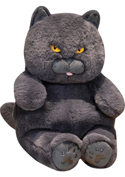 British Shorthair Ş 30CM Doldurulmuş Kız Çocuk Mavi (Yurt Dışından) fiyatları