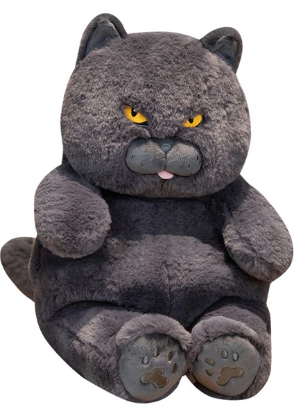 British Shorthair Ş 30CM Doldurulmuş Kız Çocuk Mavi (Yurt Dışından) fırsatları