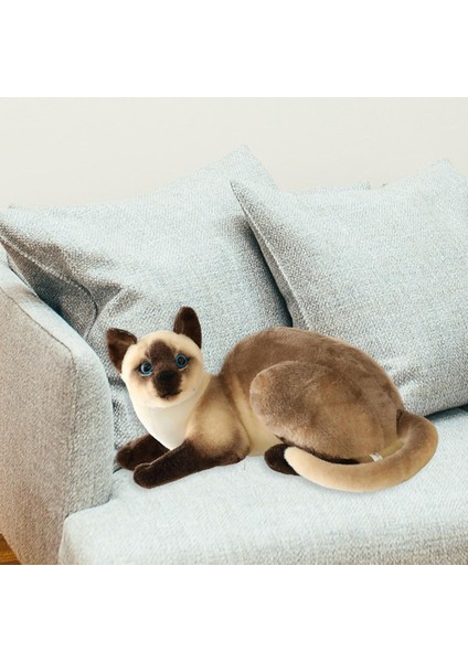 Cat Peluş Oyuncaklar Cilt Dostu Çocuklar Için Güzel Sevgililer Kız Arkadaşı 25CM (Yurt Dışından) fırsatları