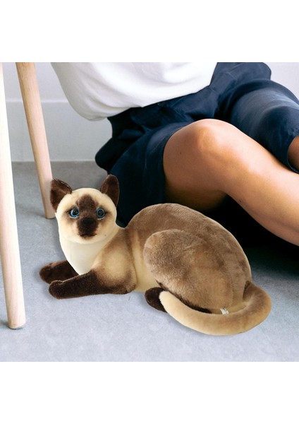 Cat Peluş Oyuncaklar Cilt Dostu Çocuklar Için Güzel Sevgililer Kız Arkadaşı 25CM (Yurt Dışından) indirimleri
