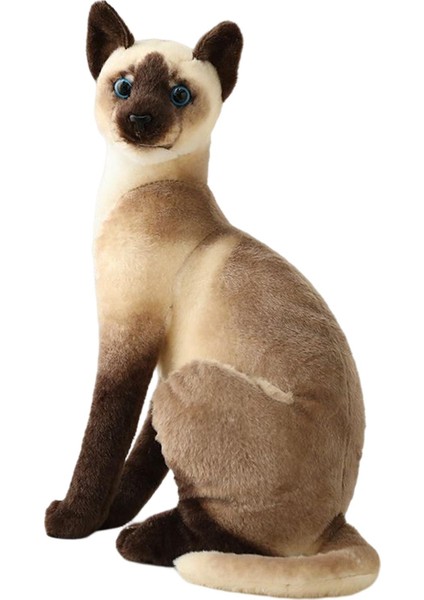 Doldurulmuş Hayvan Doğum Günü Hediyesi Ev Kedileri Peluş Oyuncak Simülasyon Yavru Kedi Gençler Için 32CM Siyam Kedi (Yurt Dışından) fiyatları