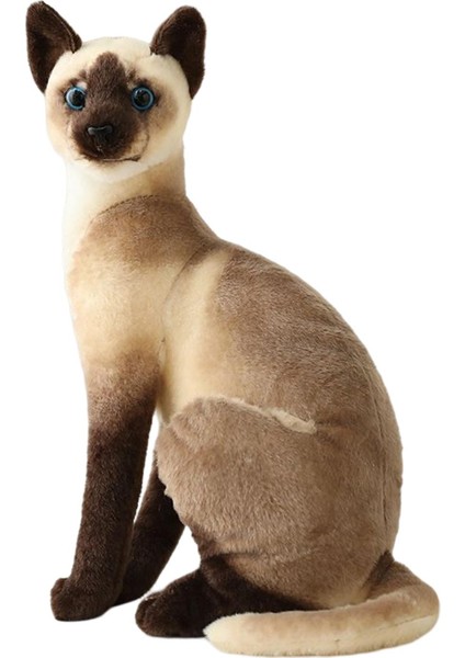 Doldurulmuş Hayvan Doğum Günü Hediyesi Ev Kedileri Peluş Oyuncak Simülasyon Yavru Kedi Gençler Için 32CM Siyam Kedi (Yurt Dışından) fırsatları