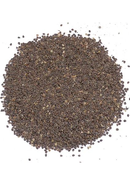 Isırgan Otu Tohumu 250G