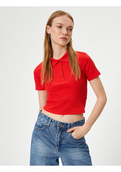 Polo Yaka Tişört Crop Slim Fit Düğmeli Kısa Kollu