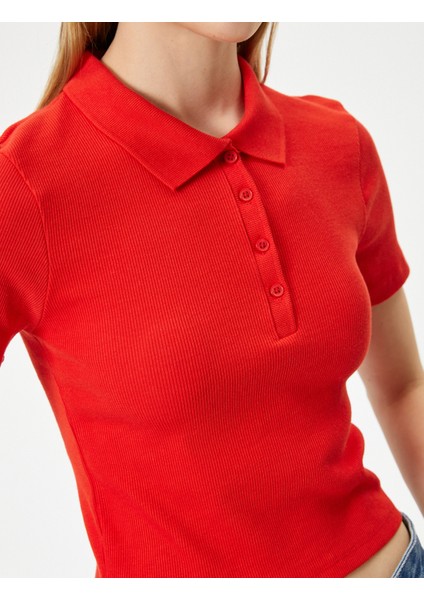 Polo Yaka Tişört Crop Slim Fit Düğmeli Kısa Kollu indirimleri