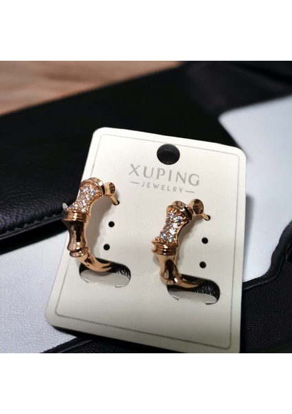 Çelik Zirkon Taşlı Girintili Halka Küpe