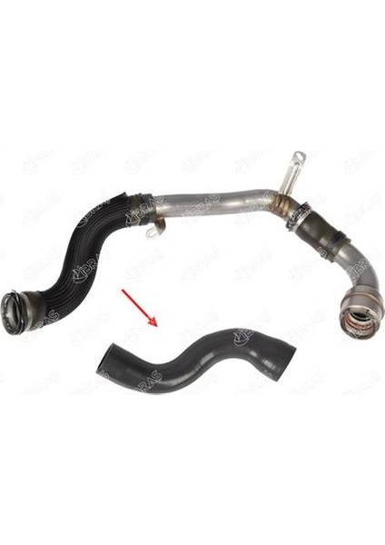 Turbo Hortumu Uzun Metal Boru Hariç Mgn Iıı-Fluence 1.5 Dci 110HP 09