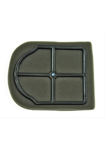 Hava Filtre Elemanı 125 Cg Serisi (Agk)