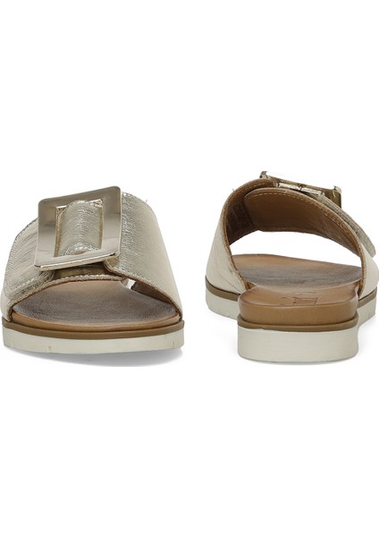 Vıv 4fx Altın Kadın Düz Terlik indirimleri