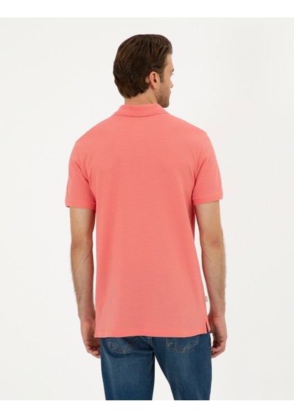 Erkek Pembe Regular Fit Basic Tişört 50280753-VR186