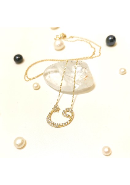 Vav Kolye 14 Ayar Altın Hd Videolu fiyatları