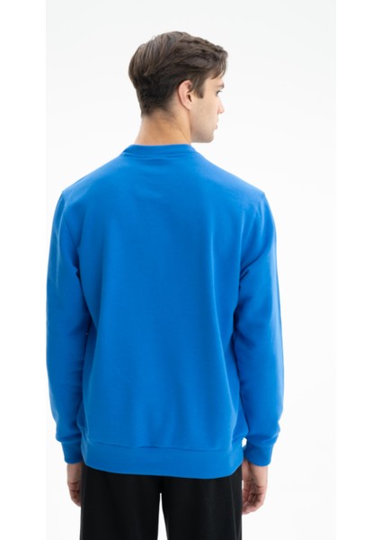 Erkek Yazı Baskılı Regular Fit Şardonsuz 3 İplik Bisiklet Yaka Sweatshirt K26124601201