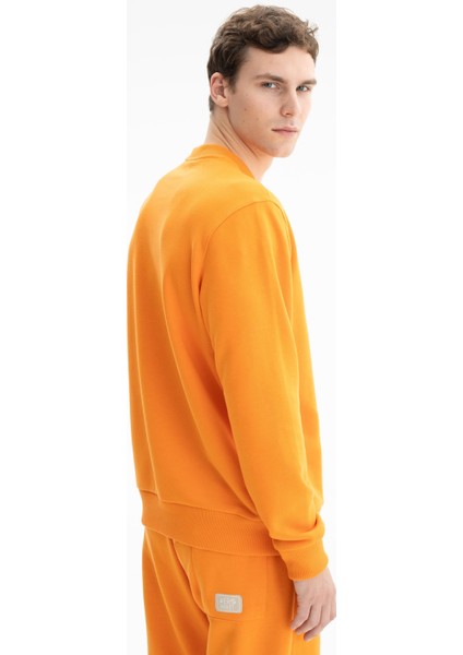 Erkek Yazı Baskılı Regular Fit Şardonsuz 3 İplik Bisiklet Yaka Sweatshirt K26124601201 fırsatları