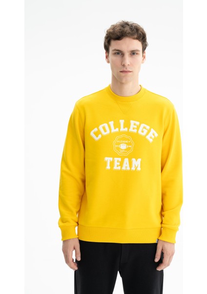 Erkek Yazı Baskılı Regular Fit Şardonsuz 3 İplik Bisiklet Yaka Sweatshirt K26124601201