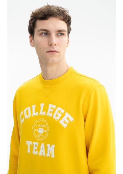 Erkek Yazı Baskılı Regular Fit Şardonsuz 3 İplik Bisiklet Yaka Sweatshirt K26124601201