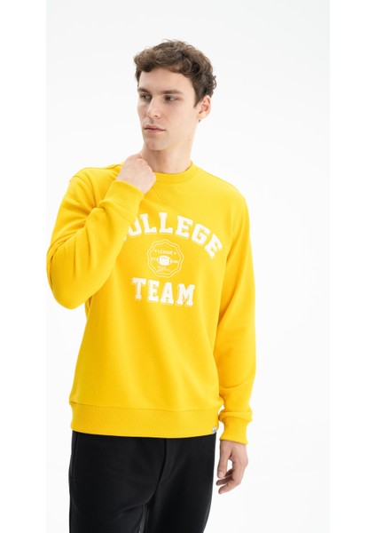 Erkek Yazı Baskılı Regular Fit Şardonsuz 3 İplik Bisiklet Yaka Sweatshirt K26124601201